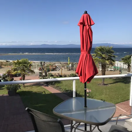 Buena Vista by the Sea