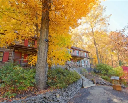 糖樹旅館 羅克布里奇縣酒店