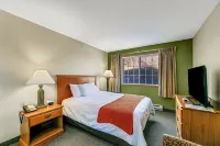 Country Inn Walker Hotels in Walker