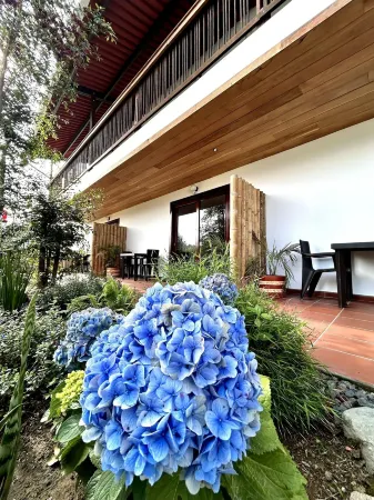 Villa Salento Boutique Apartments & Spa