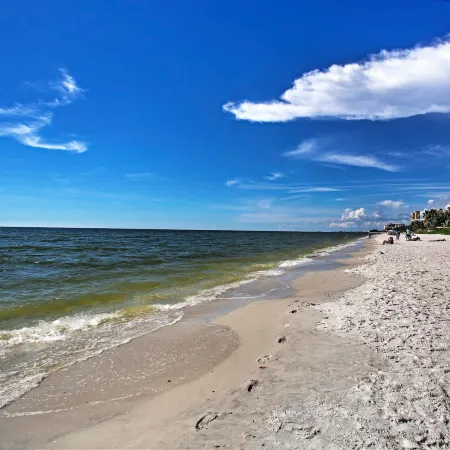 Superb Naples Home w/ Den & Private Saltwater Pool