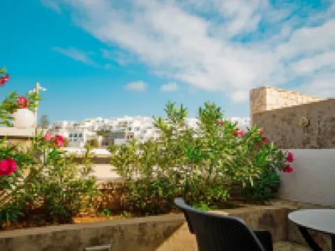 Adonis Hotel Studios & Apartments Hotels in Naoussa