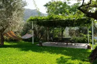Villa in the countryside with pool Hotels near Torre Del Lauro