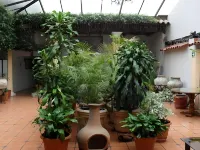 ホテル サン ルイス のホテル