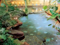 Hotel Shinayoshi - con terme