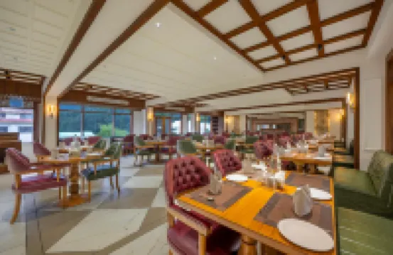 Snow Valley Resorts & Spa Manali