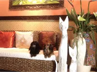 Dog Friendly Asian Resort Umiyado Taiyobito