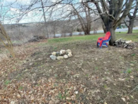 Charming 4 Bedroom Pet Friendly House in Keuka Park NY. Updated Pics Coming Soon Hotels in Jerusalem