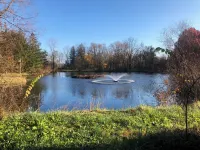 Joy in the Beauty of Nature