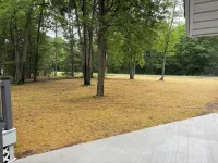 Year-round 3BR/2BA trailside house & 4 electric campsites near Lake Missaukee