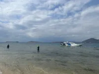 Ultimate Family-Sized Beach Mountainside Sanctuary (work and play friendly)