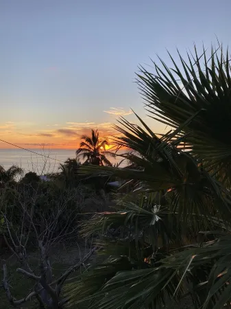 Exceptional property in a lush setting