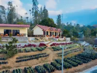 Gubuk Ndeso Bromo