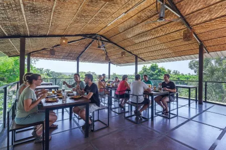 FabHotel Amazonika Boutique Resort Arpora