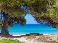 Sun Of The Bay 3 (b3 - A3) - Apartment. Free Wifi - جاكوزي