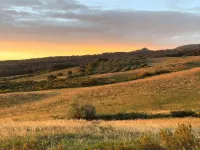 Serene Villa Stay in Sinalunga Hotels in Sinalunga