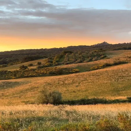 Charming Cottage in Sinalunga