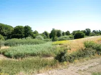 8 person holiday home in Slagelse-By Traum - Homestays
