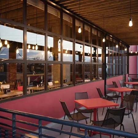 Ibis Irapuato