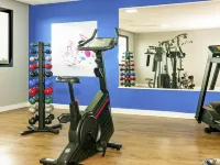 Ibis Styles São Mateus - Gym