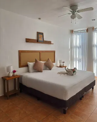 Hotel International House Riviera Maya