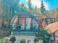 Plum Homestay - Hostel Hotels in Dong Van