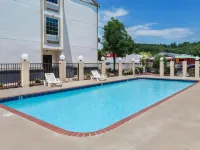 컴포트 인 & 스위트 노스 리틀 록