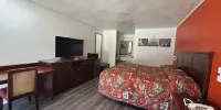 Capital O American Inn Motel Camden Al - Zimmer, 2 Doppelbetten, Nichtraucher