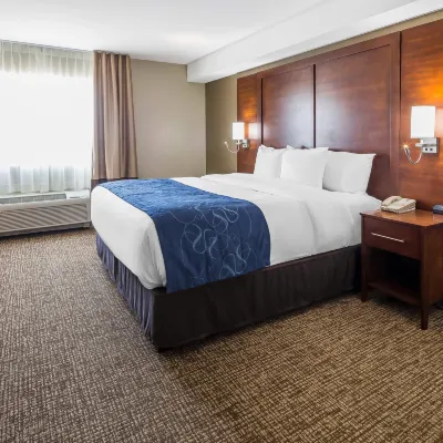 Comfort Suites El Paso Airport Hotels near El Paso Zoo