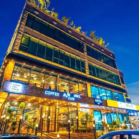 Owl Hotel