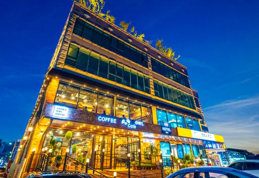 부엉이 호텔 라운지 이미지