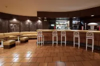 Baía Madeira Hotel - Quầy bar