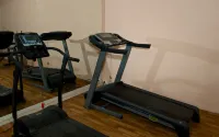 Villa Borgo San Pietro - gimnasio