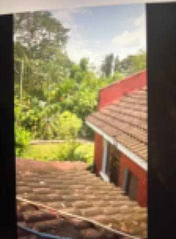 Kiota Jungle Homestay