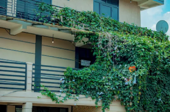 รีสอร์ต วิวภูเขาไฟ โรงแรมใน