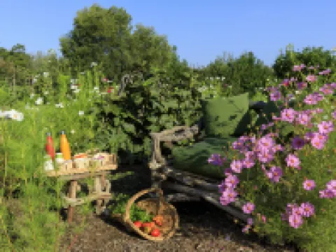 Grand Hôtel de Cala Rossa & Spa Nucca Hoteles en Lecci