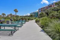 Oceanfront Condo with Large Balcony, Pool, Central AC & Views - Condos