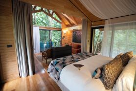 Entre Arboles Iguazu, Singular Collection by Amerian