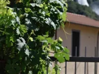 Marmore Charming House Hotel a Terni