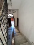 피녜토 뉴 컬렉션 3