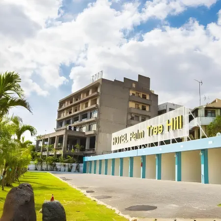 Hotel Palm Tree Hill