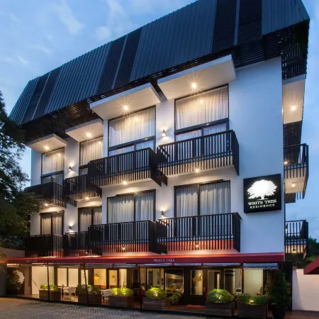 White Tree Residence