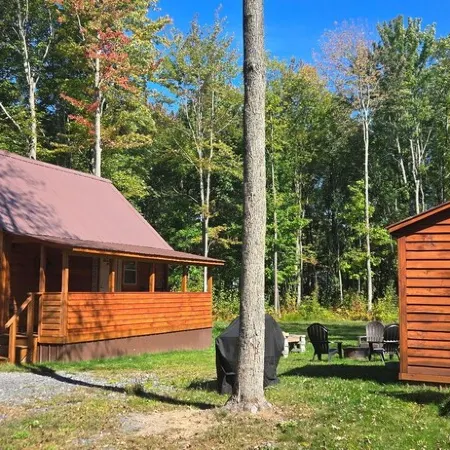 Cozy cabin located in Brasher Falls, NY. Pet friendly!