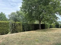 Cozy, quiet vacation apartment with a view of the countryside - 2-Star