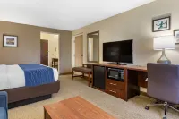 Comfort Inn Near Greenfield Village - parking