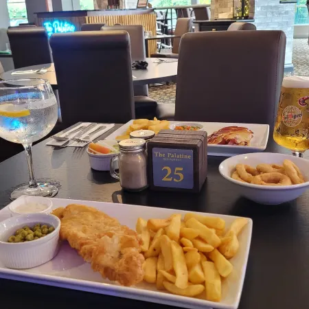 Britannia Airport Hotel