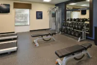 Hampton Inn & Suites Ocala - Træningscentre
