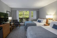 Whistler Village Inn & Suites - Wifi