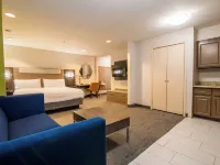 Holiday Inn Express & Suites COLLEGE STATION by IHG Hotels near Bonfire Memorial