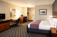 Bluemont Hotel - Wifi